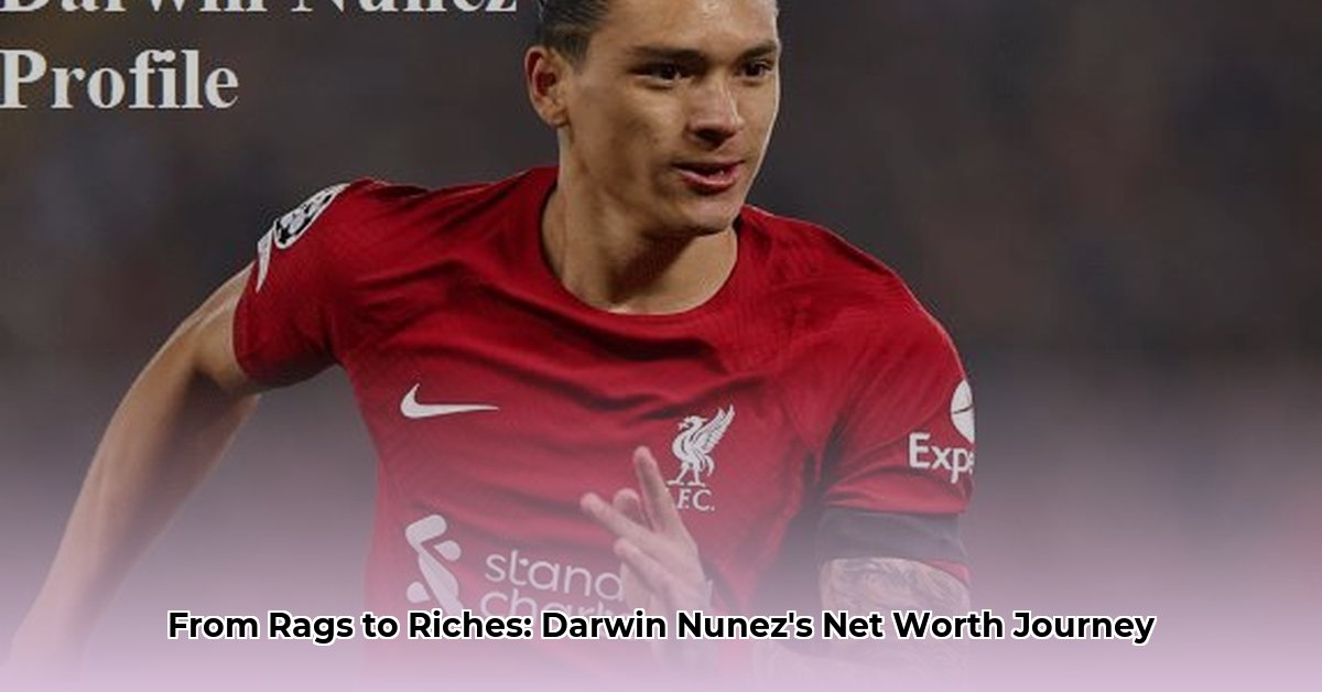 darein nunez net worth